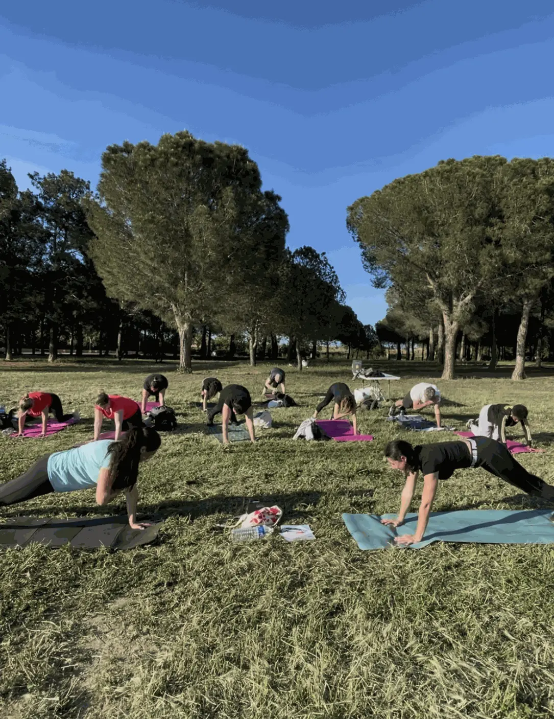 Evenement Sport Nutrition Soirée NutriSport Perpignan